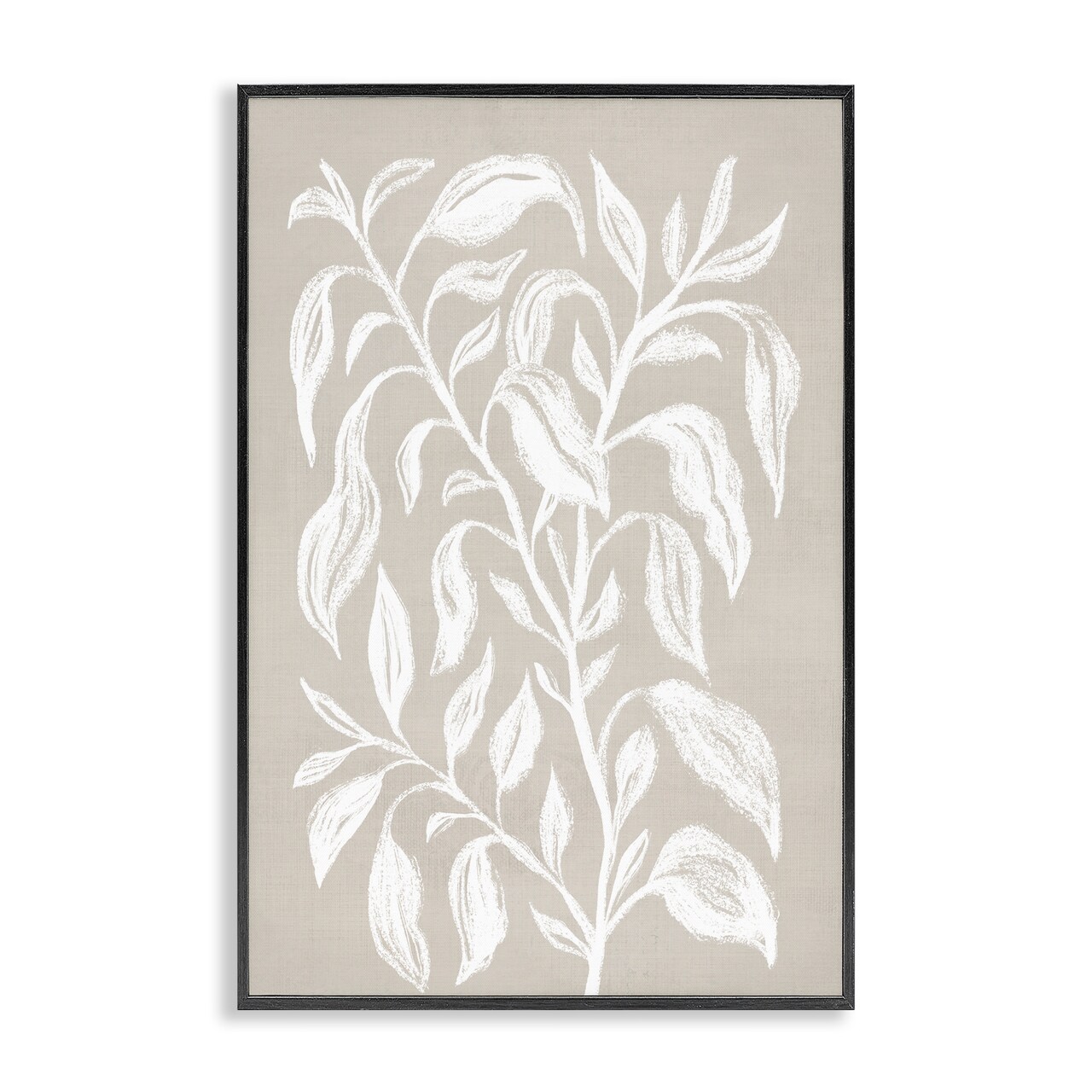 Stupell Industries Chalk Sketch Botanicals Framed Giclee Wall Art Design by Martina Pavlova